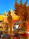Loop Nature :เชียงใหม่ - แม่ฮ่องสอน 6วัน5คืน