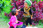 Loop Nature :เชียงใหม่ - แม่ฮ่องสอน 6วัน5คืน