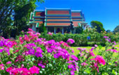 Loop Nature :เชียงใหม่ - แม่ฮ่องสอน 6วัน5คืน