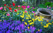 Loop Nature :เชียงใหม่ - แม่ฮ่องสอน 6วัน5คืน