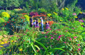 Loop Nature :เชียงใหม่ - แม่ฮ่องสอน 6วัน5คืน