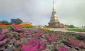 It not just a norther day. เชียงใหม่ 4 วัน 3 คืน