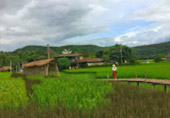 Classic เหนือ : เชียงใหม่ ลำพูน ลำปาง พะเยา