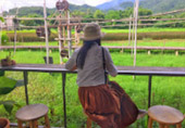Classic เหนือ : เชียงใหม่ ลำพูน ลำปาง พะเยา