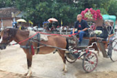 Classic เหนือ : เชียงใหม่ ลำพูน ลำปาง พะเยา