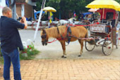 Classic เหนือ : เชียงใหม่ ลำพูน ลำปาง พะเยา