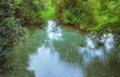 Loop Nature :เชียงใหม่ - แม่ฮ่องสอน 6วัน5คืน