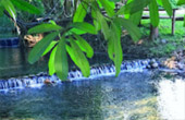 Loop Nature :เชียงใหม่ - แม่ฮ่องสอน 6วัน5คืน