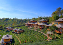 Freshey North: 5 วัน 4 คืน แม่ฮ่องสอน ปาย เชียงใหม่ เชียงราย ดอยแม่สลอง