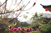 Loop Nature :เชียงใหม่ - แม่ฮ่องสอน 6วัน5คืน