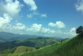 Negative Ion and Hills