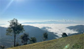 Negative Ion and Hills