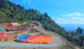 Negative Ion and Hills