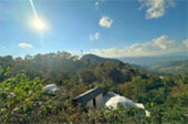 Negative Ion and Hills