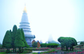 Loop Nature :เชียงใหม่ - แม่ฮ่องสอน 6วัน5คืน