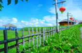 Loop Nature :เชียงใหม่ - แม่ฮ่องสอน 6วัน5คืน