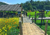 Loop Nature :เชียงใหม่ - แม่ฮ่องสอน 6วัน5คืน