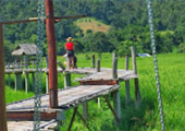 Loop Nature :เชียงใหม่ - แม่ฮ่องสอน 6วัน5คืน
