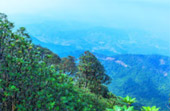 Loop Nature :เชียงใหม่ - แม่ฮ่องสอน 6วัน5คืน