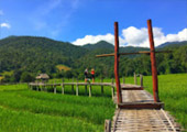 Loop Nature :เชียงใหม่ - แม่ฮ่องสอน 6วัน5คืน