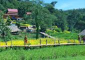 Loop Nature :เชียงใหม่ - แม่ฮ่องสอน 6วัน5คืน