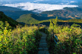 Loop Nature :เชียงใหม่ - แม่ฮ่องสอน 6วัน5คืน
