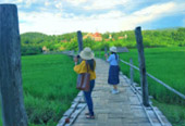 Loop Nature :เชียงใหม่ - แม่ฮ่องสอน 6วัน5คืน