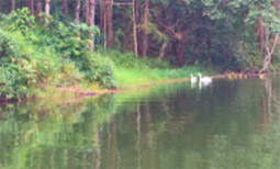 Loop Nature :เชียงใหม่ - แม่ฮ่องสอน 6วัน5คืน Loop Nature :เชียงใหม่ - แม่ฮ่องสอน 6วัน5คืน