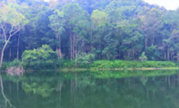 Loop Nature :เชียงใหม่ - แม่ฮ่องสอน 6วัน5คืน Loop Nature :เชียงใหม่ - แม่ฮ่องสอน 6วัน5คืน