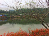 Loop Nature :เชียงใหม่ - แม่ฮ่องสอน 6วัน5คืน