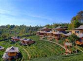 Loop Nature :เชียงใหม่ - แม่ฮ่องสอน 6วัน5คืน