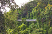 Loop Nature :เชียงใหม่ - แม่ฮ่องสอน 6วัน5คืน