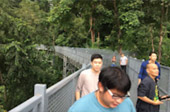 Loop Nature :เชียงใหม่ - แม่ฮ่องสอน 6วัน5คืน