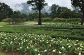 Loop Nature :เชียงใหม่ - แม่ฮ่องสอน 6วัน5คืน