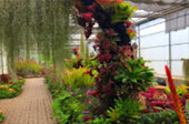 Loop Nature :เชียงใหม่ - แม่ฮ่องสอน 6วัน5คืน