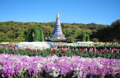Loop Nature :เชียงใหม่ - แม่ฮ่องสอน 6วัน5คืน