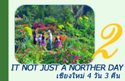 It not just a norther day. เชียงใหม่ 4 วัน 3 คืน