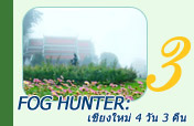 Fog Hunter: เชียงใหม่ 4 วัน 3 คืน