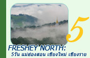 Freshey North: 5 วัน 4 คืน แม่ฮ่องสอน ปาย เชียงใหม่ เชียงราย ดอยแม่สลอง