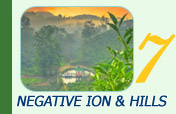 Negative Ion and Hills