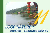Loop Nature :เชียงใหม่ - แม่ฮ่องสอน 6วัน5คืน