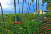 Northern Route: 10 วัน 9 คืน 6 จังหวัด เหนือตอนบน