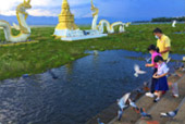 Northern Route: 10 วัน 9 คืน 6 จังหวัด เหนือตอนบน