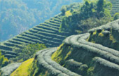 Northern Route: 10 วัน 9 คืน 6 จังหวัด เหนือตอนบน