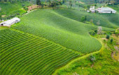 Northern Route: 10 วัน 9 คืน 6 จังหวัด เหนือตอนบน
