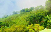 Northern Route: 10 วัน 9 คืน 6 จังหวัด เหนือตอนบน