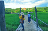 Northern Route: 10 วัน 9 คืน 6 จังหวัด เหนือตอนบน