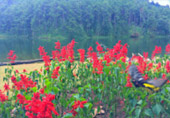 Loop Nature :เชียงใหม่ - แม่ฮ่องสอน 6วัน5คืน