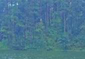 Loop Nature :เชียงใหม่ - แม่ฮ่องสอน 6วัน5คืน