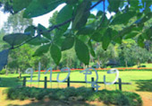 Loop Nature :เชียงใหม่ - แม่ฮ่องสอน 6วัน5คืน